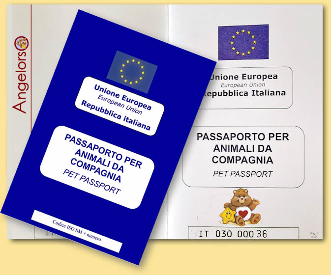 Passaporto estero